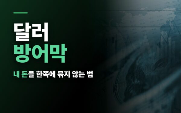 달러 방어막 — 내 돈을 한쪽에 묶지 않는 법 | 머니바이트