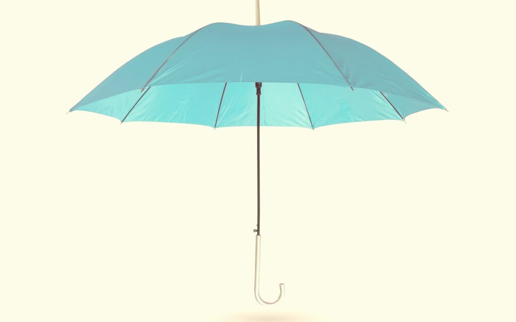 달러 자산은 보험일까 투자일까